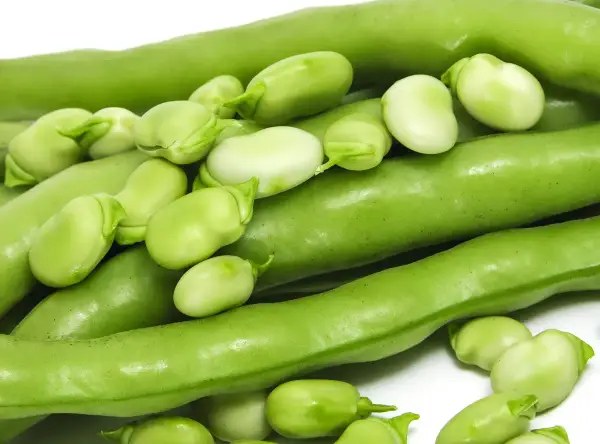 Fasola szparagowa i zielone ziarna fasoli, bogate w bÅonnik nierozpuszczalny produkty, tworzÄ apetyczny stos.